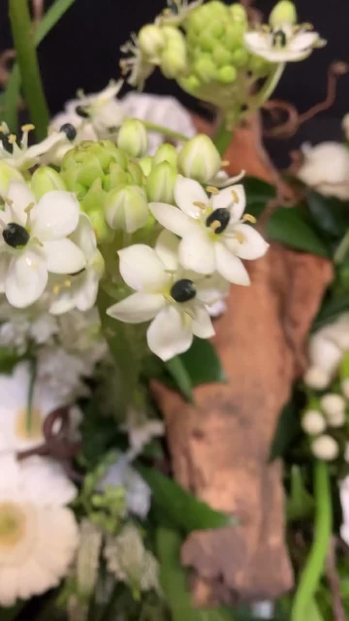 Video post from dellemannbloemen.