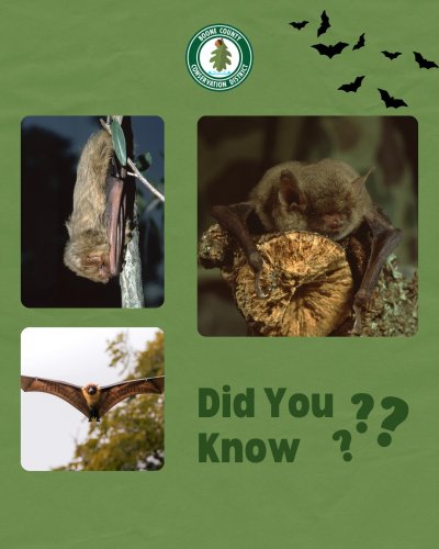 Photo post from boonecoconservationdistrict.