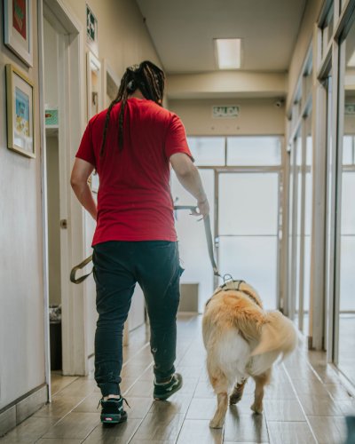 Photo post from medicalpettj.