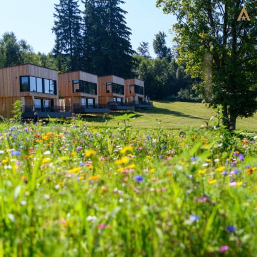 Photo post from glampings_de.