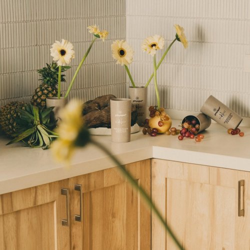 Photo post from econestph.