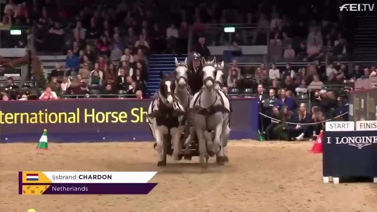 Video post from fei_global.