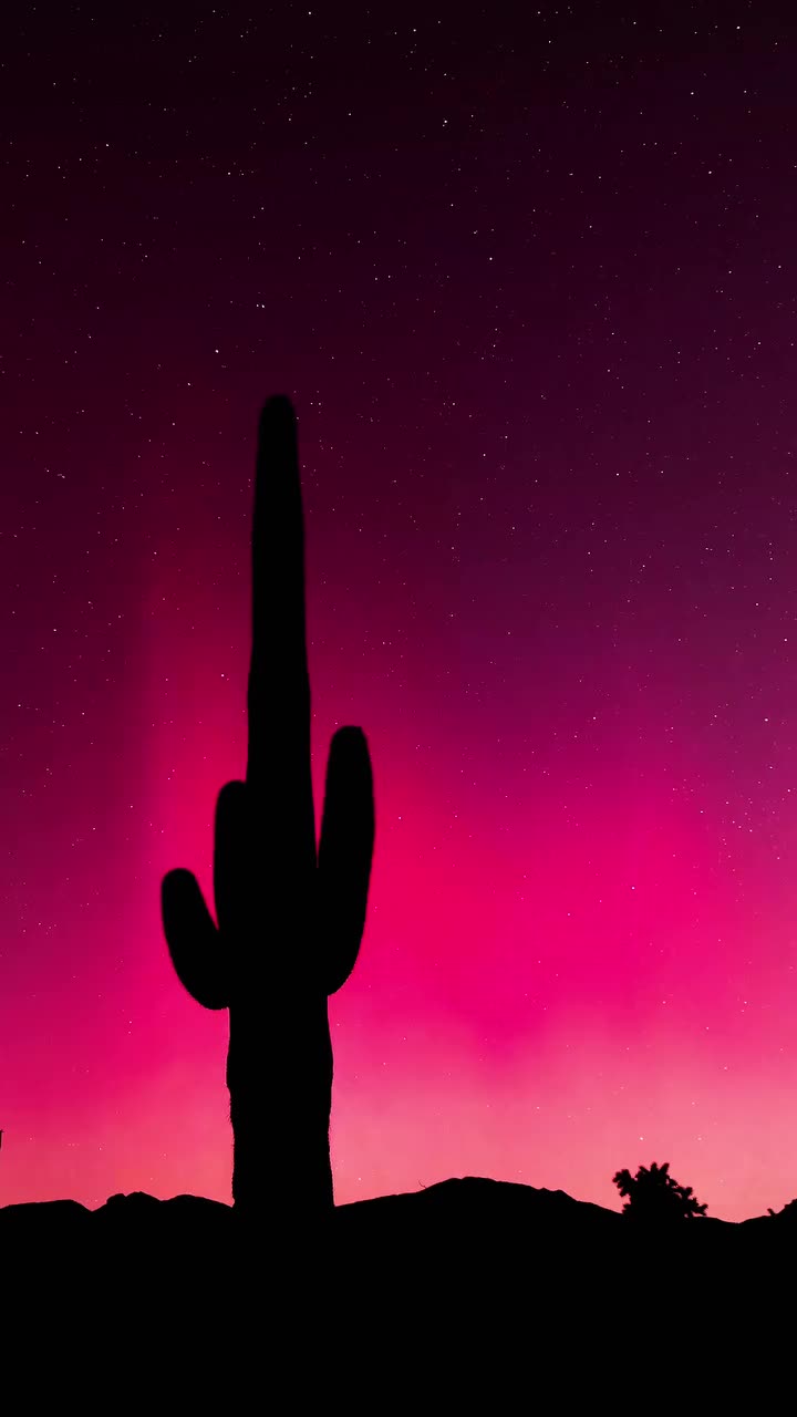 Video post from visittucson.