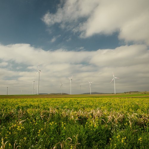 Carousel post from andrewpokora.