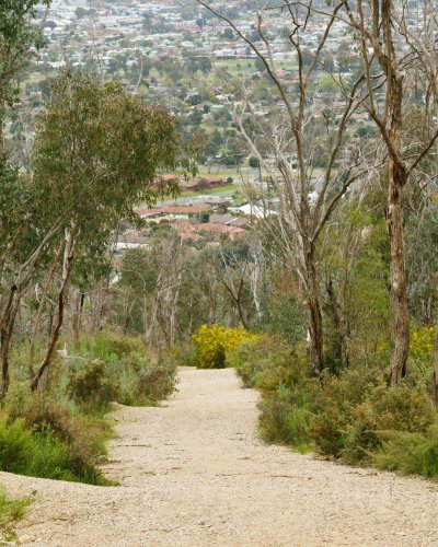 Photo post from alburycity.