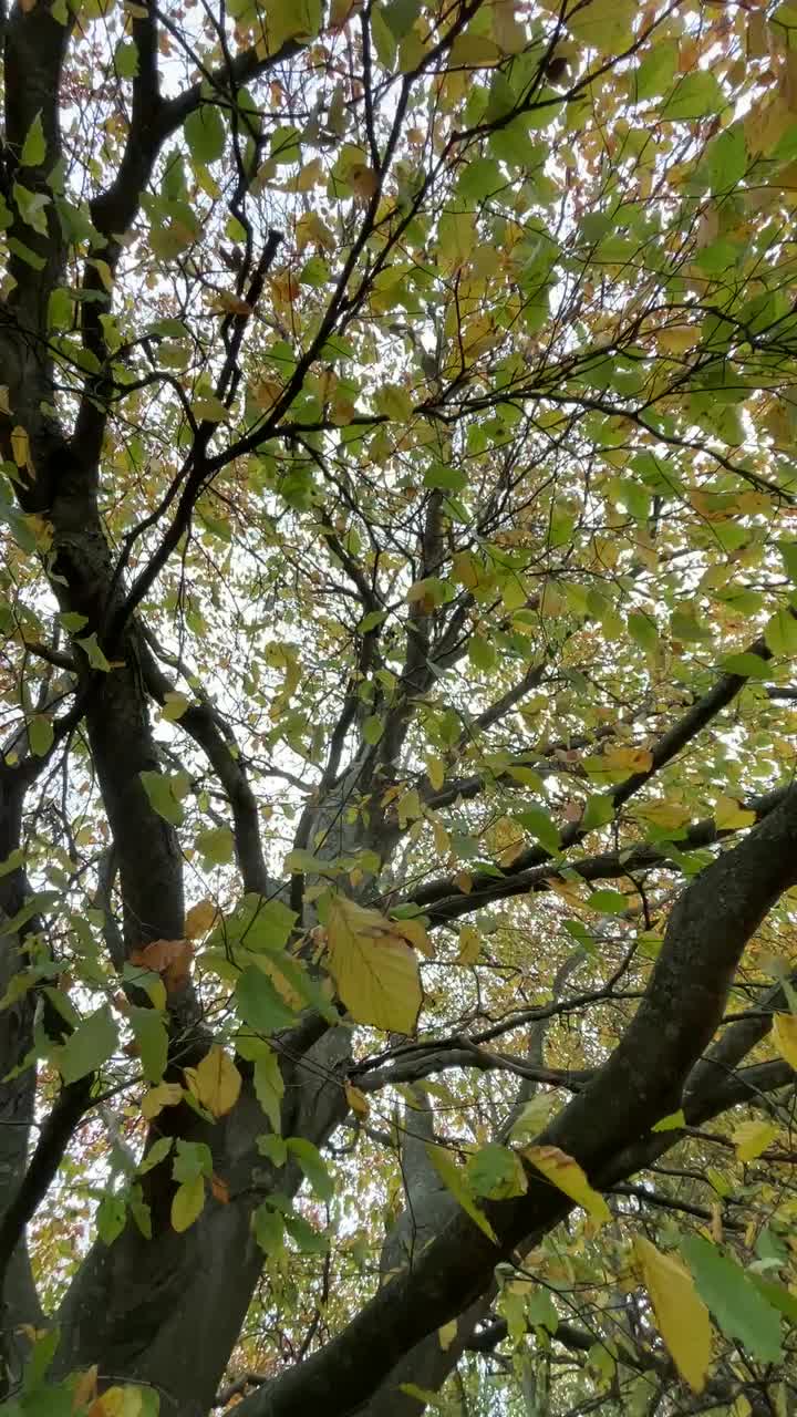 Video post from grow_naturally_norfolk.