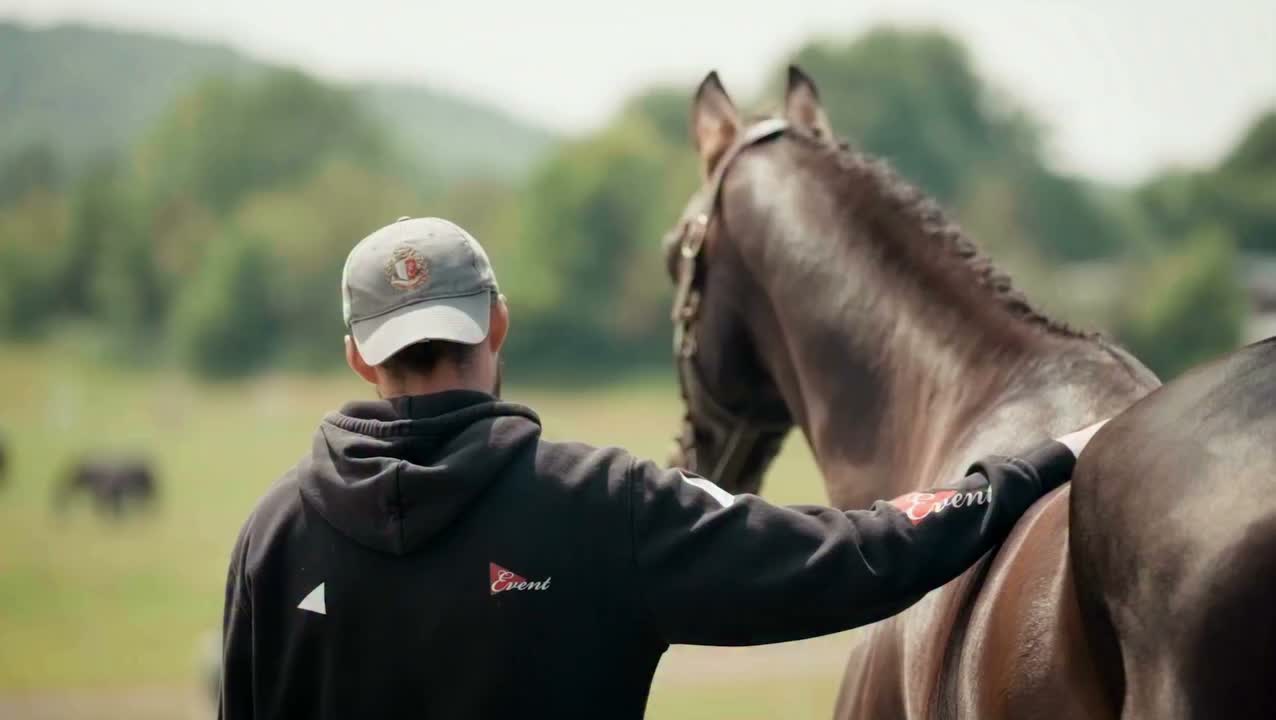 Video post from fei_global.