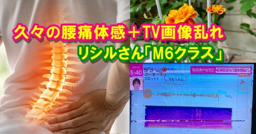 Photo post from nmomose.
