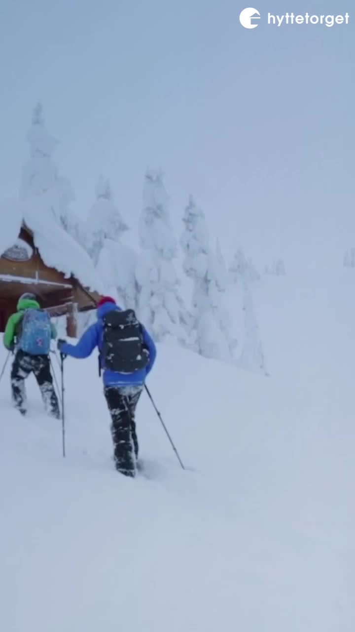 Video post from hyttetorget.
