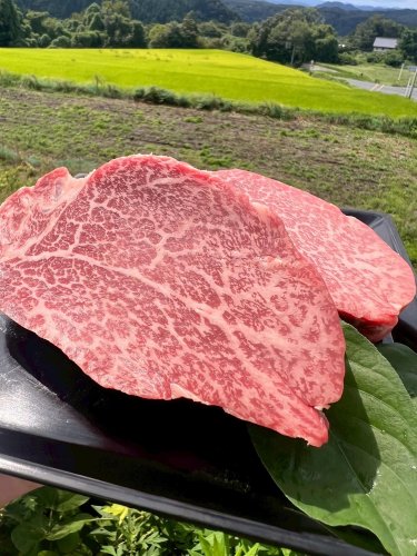 Photo post from daisenbou.