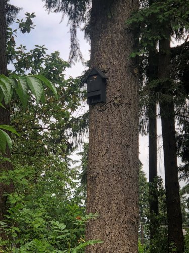 Carousel post from thewdfw.