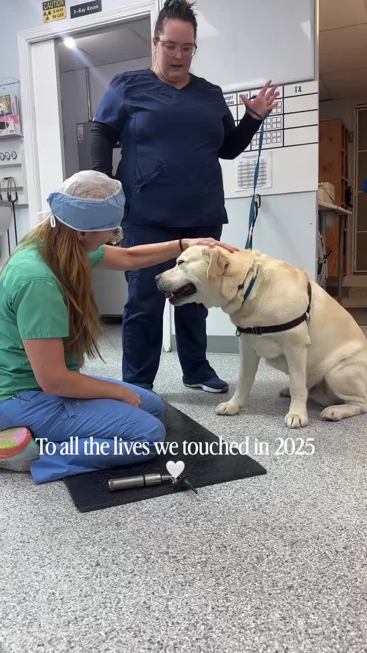 Video post from familyanimalhospitalcm.