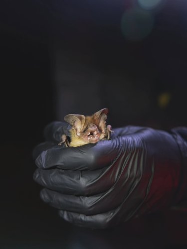 Carousel post from radicalsoybean.