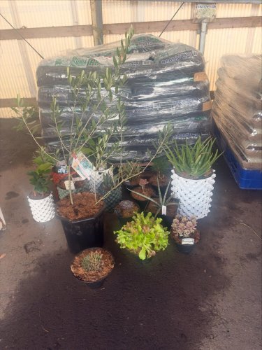 ルートプラスポット