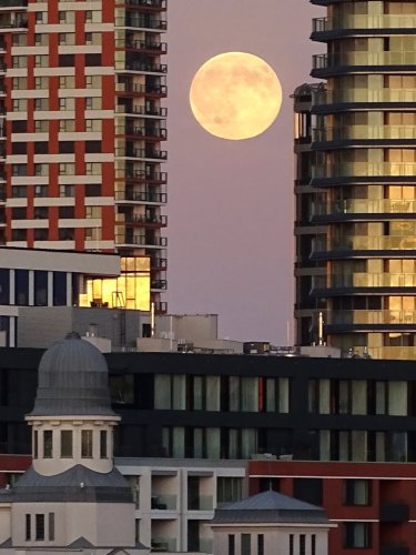 Photo post from miro.68.