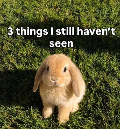 Carousel post from njexoticpets.