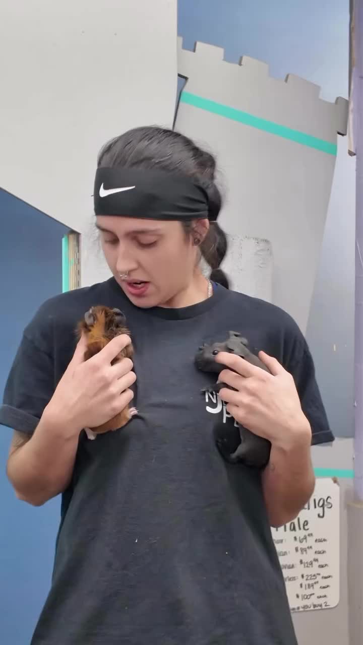 Video post from njexoticpets.