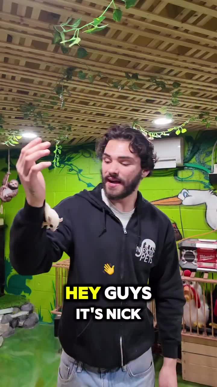 Video post from njexoticpets.