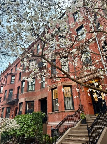 Photo post from bostoncollege.