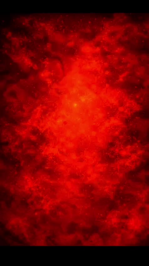 Video post from saahas_ngo.