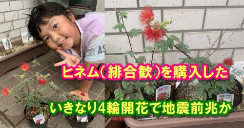 Photo post from nmomose.