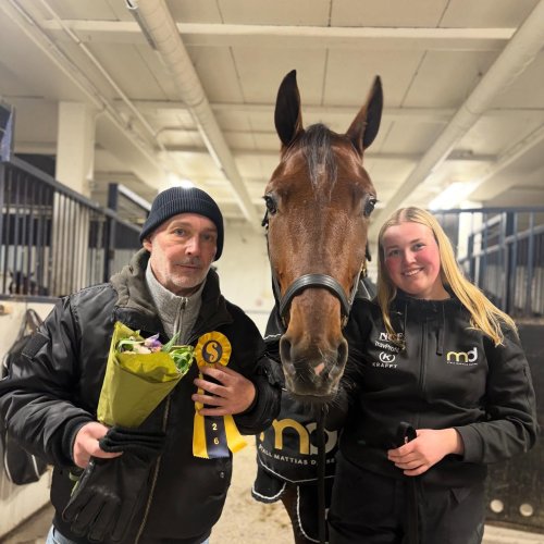 Cold Blaze ❄️🥇mattiasdjuse.se