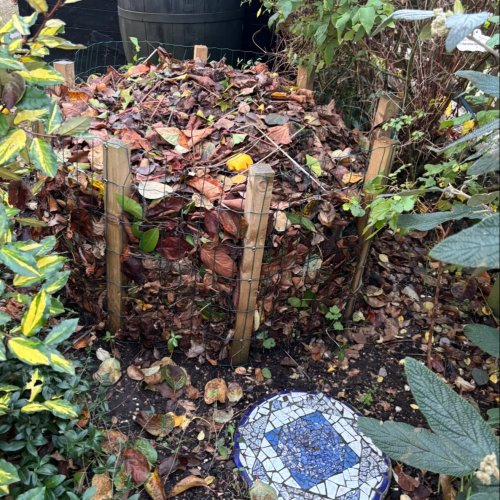 Photo post from gardenhousebrighton.