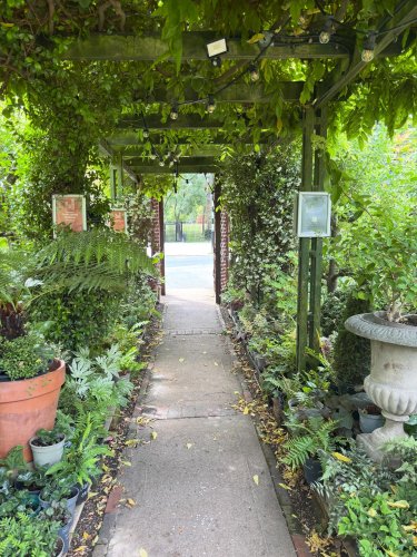 Carousel post from gardenhousebrighton.