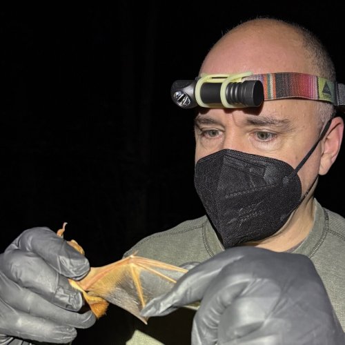 Carousel post from copperheadconsulting.