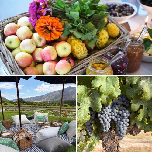 Carousel post from bramleynewspaper.