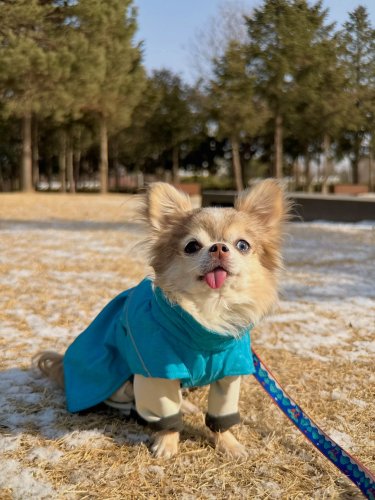 Carousel post from dino._.dary.