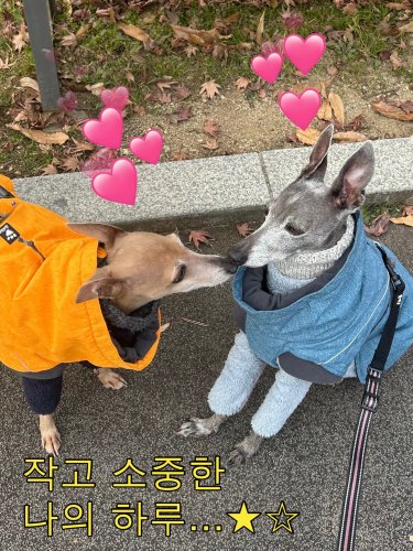 Carousel post from soopiatheiggy.