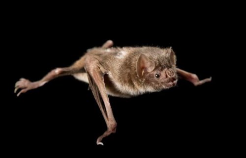 Photo post from rockinriverranch.