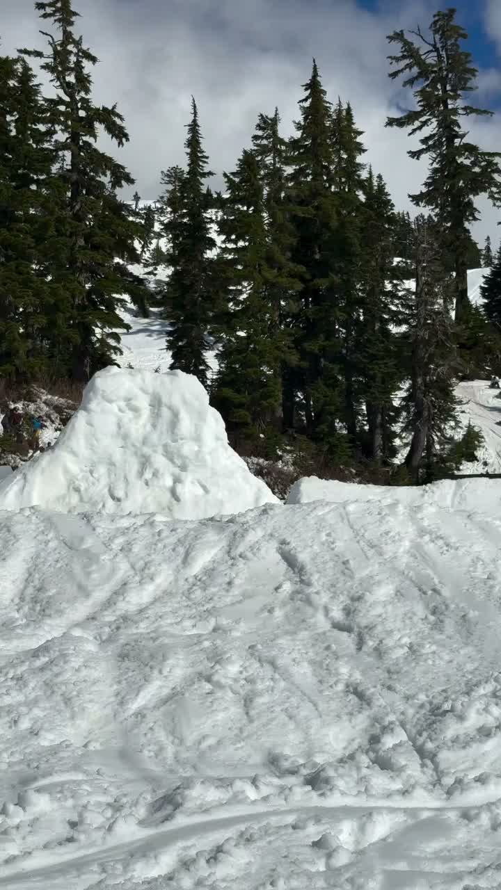 Video post from gnusnowboards.