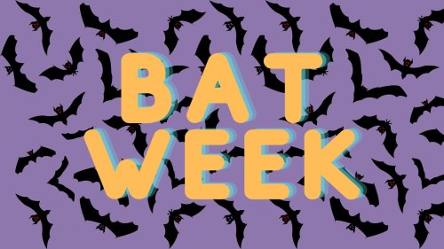 Photo post from nc_plt.