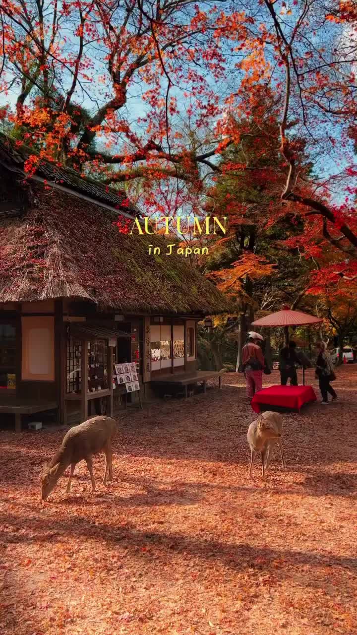 Video post from bluesky.escapes.