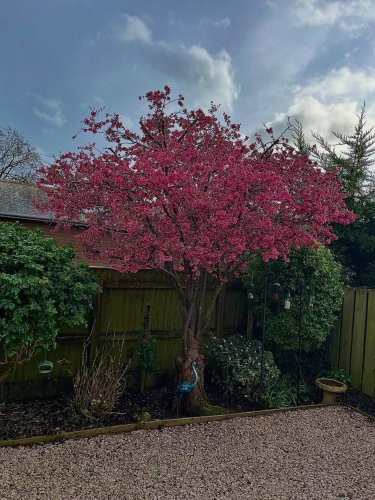 Photo post from sharon_by_the_sea.