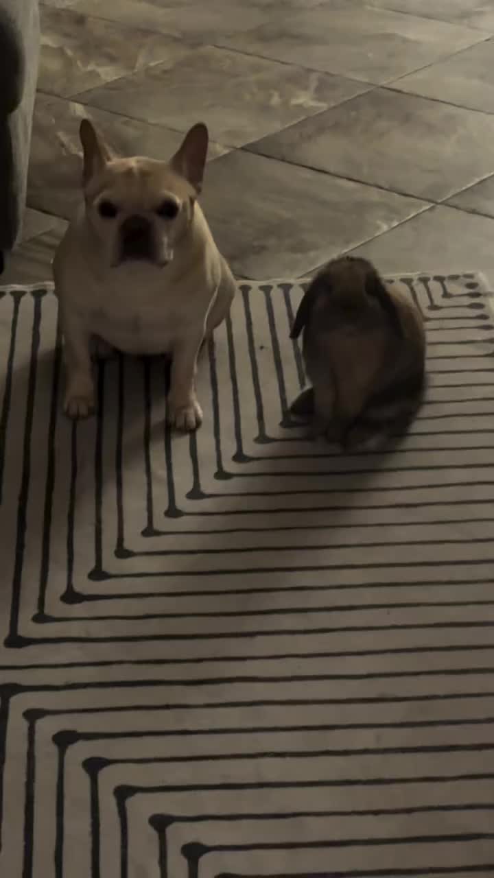 Video post from njexoticpets.