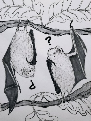 Photo post from twistybat.