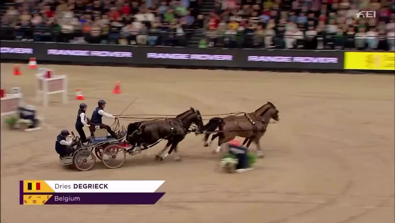 Video post from fei_global.