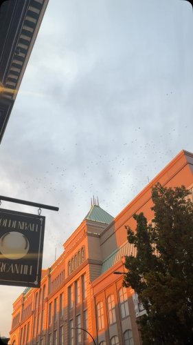 Video post from goldenballmercantile.