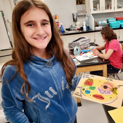 Carousel post from saeslions.