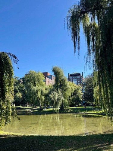 Photo post from bostoncollege.