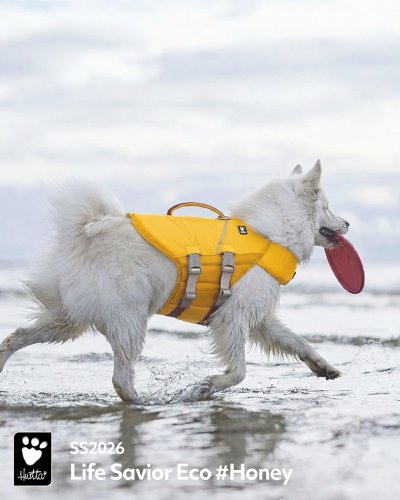 Carousel post from hurttakorea.