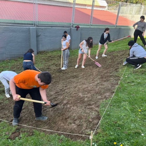 Carousel post from ellacuriazurbaranbhi.