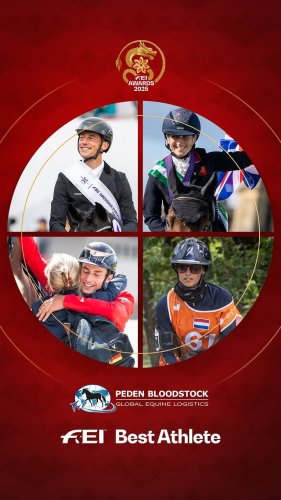 Video post from fei_global.