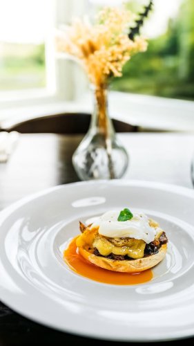 Video post from themoathouse.