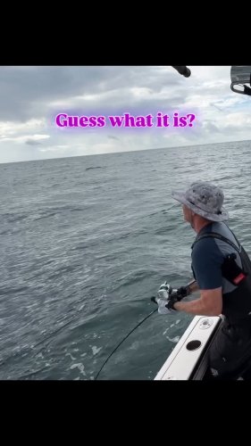 Video post from ejs_fishing_charters.