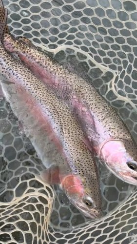 Video post from confluenceoutfitters.