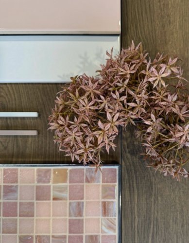 Photo post from schmidtrudersdorf_lev.